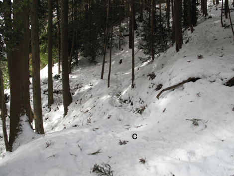 20140211hike (265)